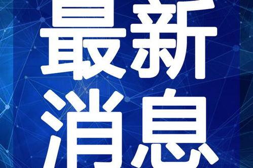 缅北老街爆料视频最新版,最新爆料视频深度解析