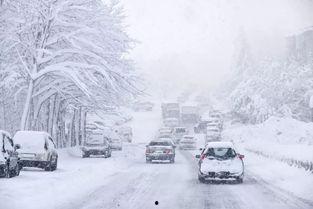 西安爆料大雪事件视频最新,城市变身冰雪童话世界