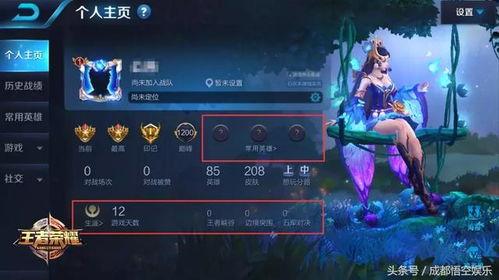 王者游戏爆料最新,神秘英雄登场，战局再掀风云！